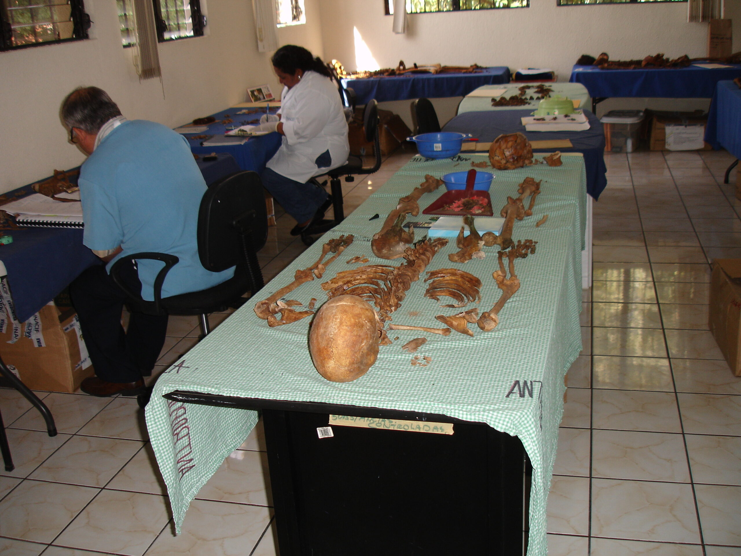 Photo of a Cadaver on an Examination Table